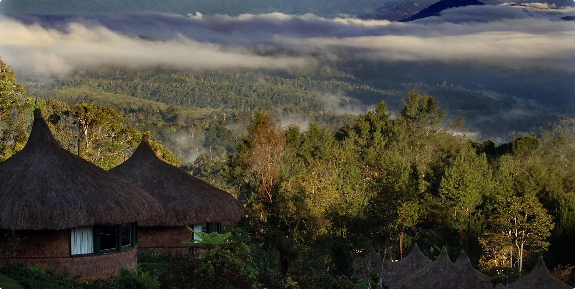 Kokoda Day Hike