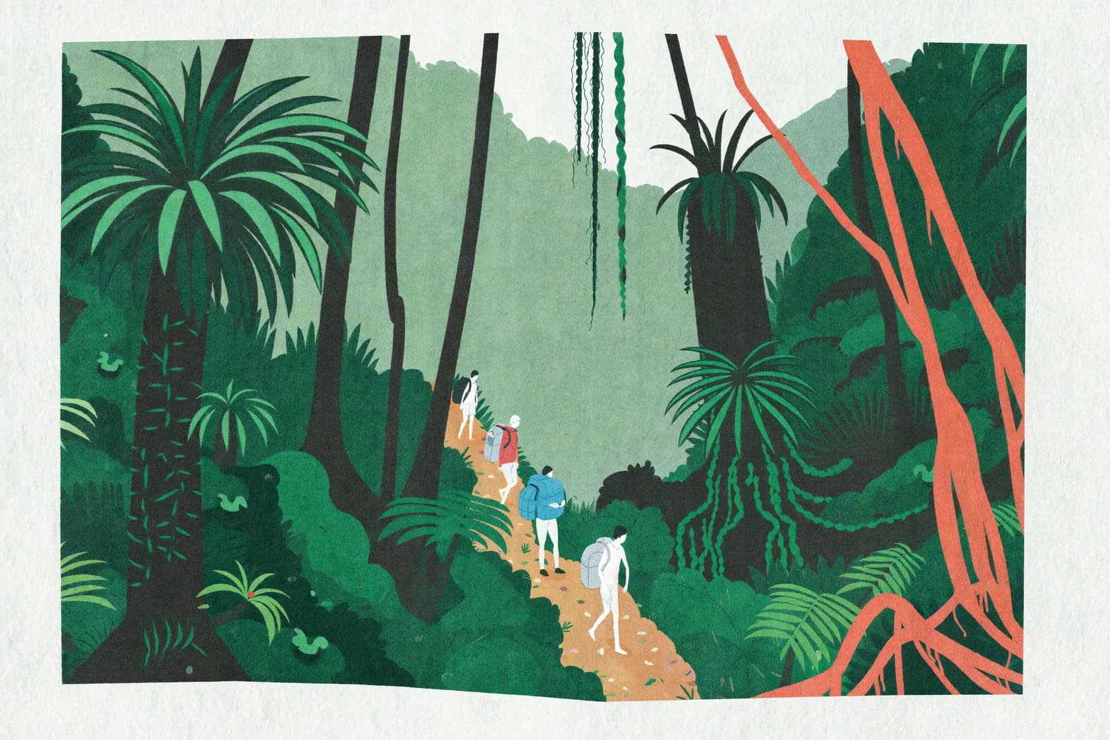 Kolombangara Cloud Forest